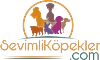 sk-logo-desktop